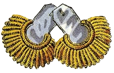 Эполеты майора наполеоновской армии