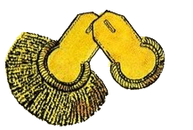 Эполет адъютант-майора наполеоновской армии