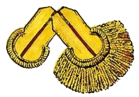 Эполет лейтенанта наполеоновской армии