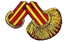 Эполеты адъютанта младшего офицера наполеоновской армии