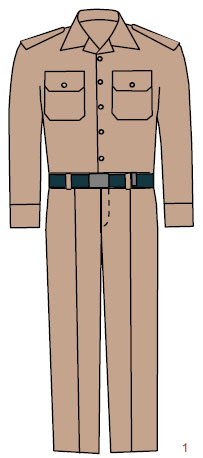 мужской вариант униформы  генералов, офицеров и кадетов военно-учебных заведений Мексики