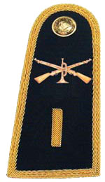 Погоны генералов и офицеров мексиканской армии на парадную униформу