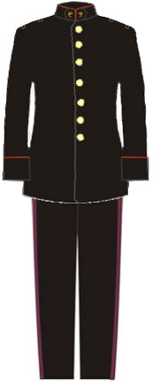 Парадная форма военно-учебных заведений мексиканской армии.