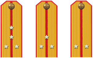 знаки различия,погоны