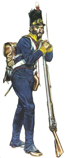 униформа линейной пехоты 1806-1814 годов