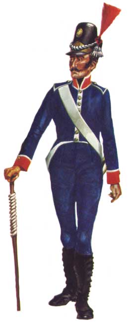 униформа португальской артиллериии  1806-1814 годов
