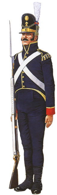 униформа линейной пехоты 1806-1814 годов