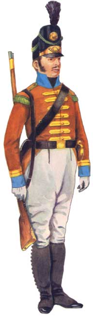 униформа касадорес португальской армии 1812 года