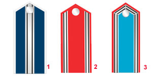 офицерские погоны прусских гусар 1808-1812 - Offiziere Epauletten preußischen Husaren 1808-1812