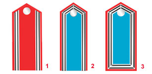 офицерские погоны прусских гусар 1812-1814 - officer's epaulettes Prussian Hussar 1812-1814