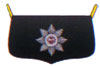 патронная сумка гвардейцев прусского Garde du Corps, 1815 год
