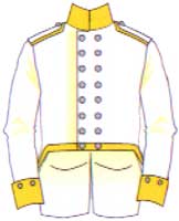 коллет Магдебургского кирасирского полка, 1815 год