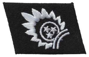 15 ваффен-гренадерская дивизия СС