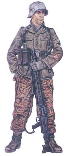 19-й ваффен-гренадерская дивизия СС