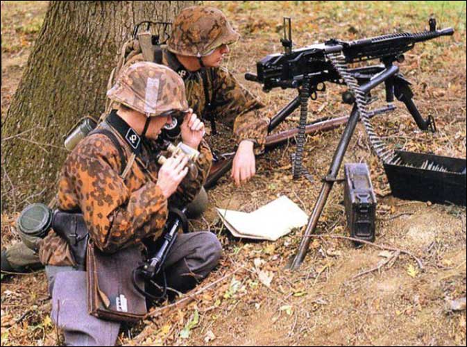 Дивизия СС «Принц Евгений»