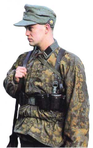 Дивизия СС «Принц Евгений»