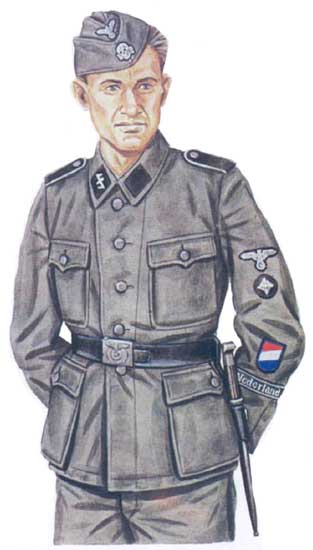 23-ая дивизия СС «Нидерланд»