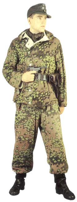 23-ая дивизия СС «Нидерланд»