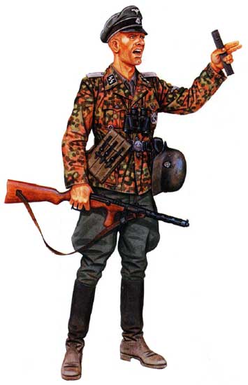 Дивизия СС «Полицайдивизия»