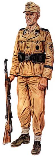 Дивизия СС «Полицайдивизия»