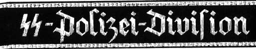 Дивизия СС «Полицайдивизия»