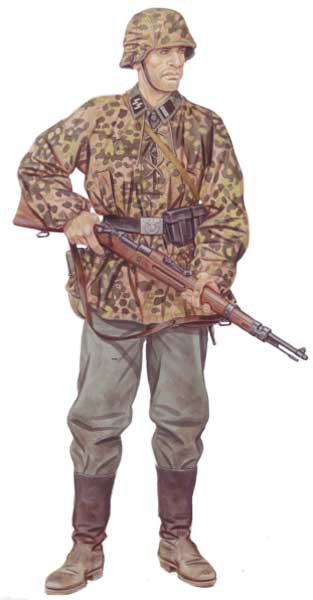 Дивизия СС «Полицайдивизия»