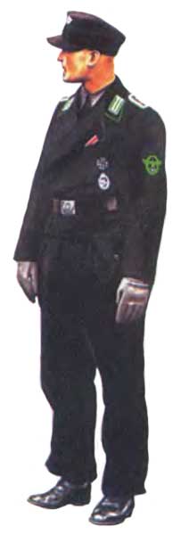 Дивизия СС «Полицайдивизия»