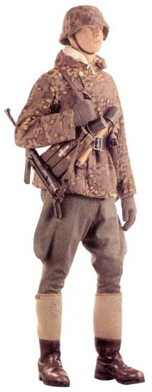 Дивизия СС «Дас Рейх»