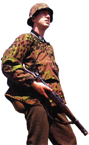 Дивизия СС «Дас Рейх»