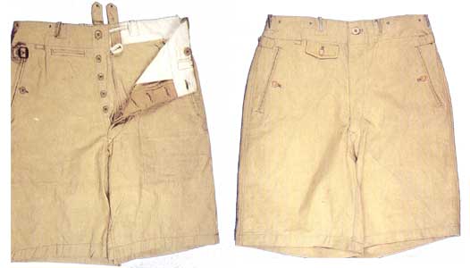 Дивизия СС «Рейхсфюрер СС»