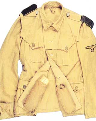 Дивизия СС «Рейхсфюрер СС»