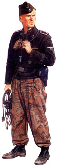 Дивизия СС «Викинг»