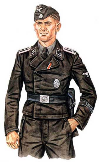 Дивизия СС «Викинг»