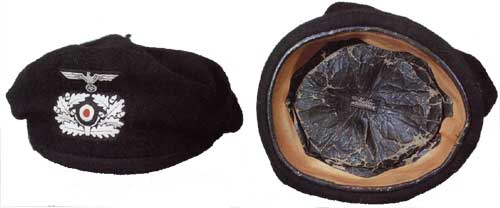 Дивизия СС «Викинг»