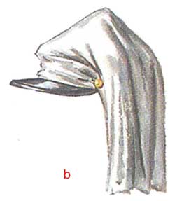 конфедераты