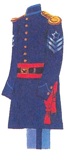 Униформа войск федералов