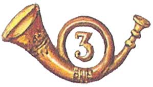 Эмблема войск федералов