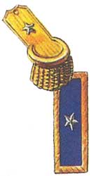 Погоны бригадного генерала армии федералов