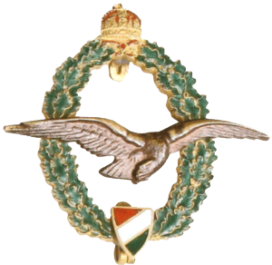 униформа венгерской королевской армии 1926-1945 гг.