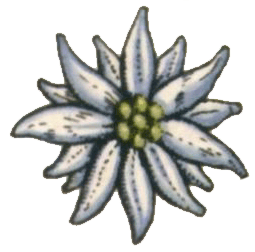 униформа венгерской королевской армии 1926-1945 гг.