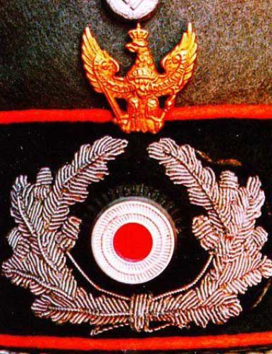 Офицерская кавалерийская фуражка